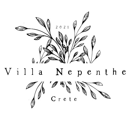 Nepenthe Travel Blog Scraper