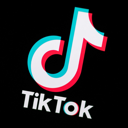 Tiktok Profile Scraper