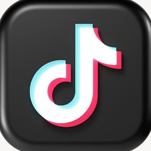 TikTok Video Downloader