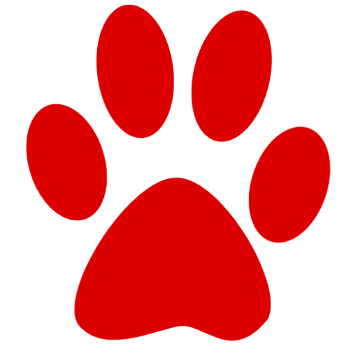 YELP Extractor 2.1 🚧