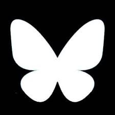 Bluesky Followers Scraper 🌐👥📊