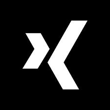Xing Jobs Scraper 💼🔍 -  Advanced & Cheaper