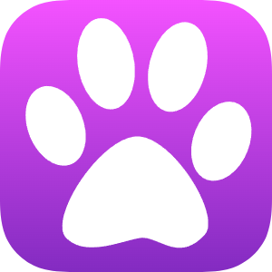 Apple 🍎 Podcasts Extractor