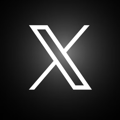 Twitter X Profile Scraper 🐦 - Cheap