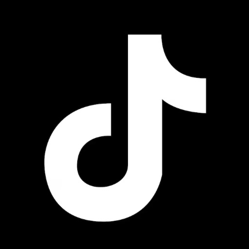 TikTok Profile Scraper – Cheap & Fast 🎵🔍✨