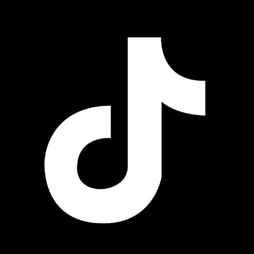 TikTok Videos Scraper – Cheap 🎥