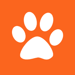 Y Combinator Extractor