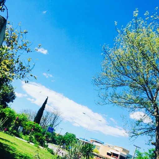 Amazon Sellercentral Products - Scraper