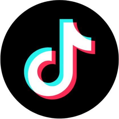 TikTok Video Scraper & Downloader