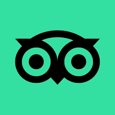 TripAdvisor Reviews (Cheapest)