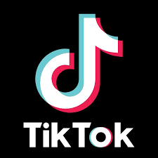 🎵TikTok Video Downloader