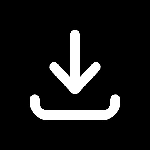 TikTok Video Downloader