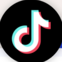TikTok Video Data Scraper