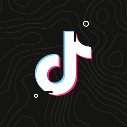 TikTok Video Scraper Premium
