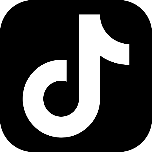Tiktok Profile Data Scraper