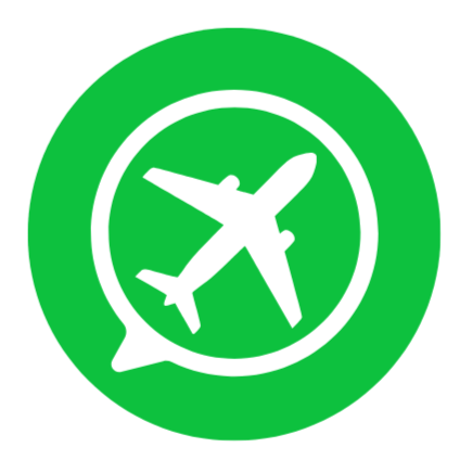Google Flights API