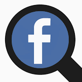 Facebook Search Actor (No Cookies)