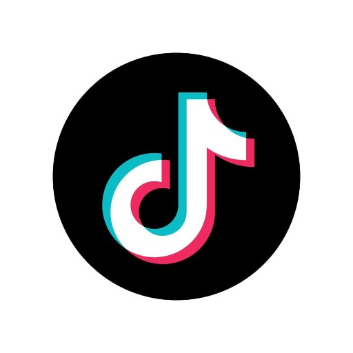 Tiktok Video Downloader