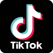 TikTok Transcript - Multi-Language Translation