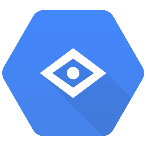 Google Vision