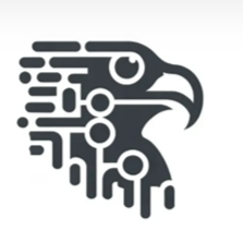 Black Falcon Data