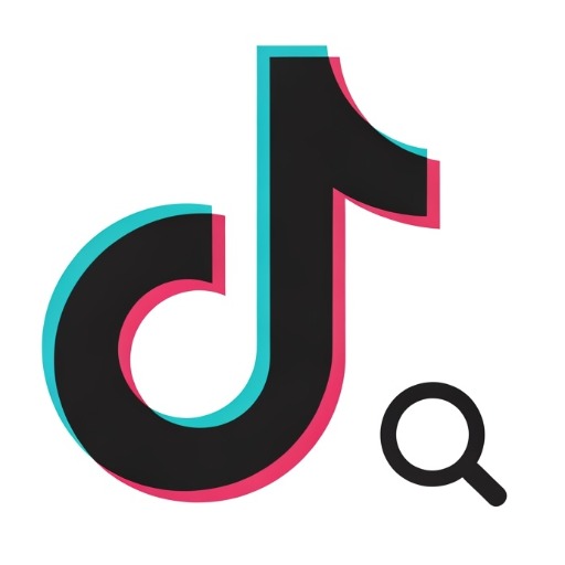 TikTok Location API