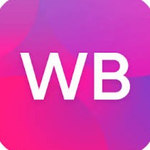 Wildberries Products Search Scraper