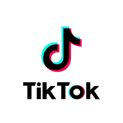 TikTok Profile & Video Data Extractor