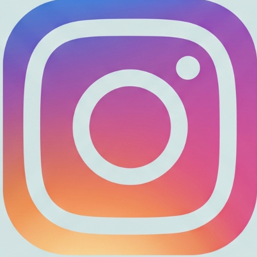 Instagram reel transcript using gemini