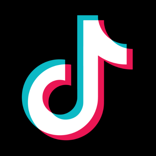 TikTok Profile Video Scraper