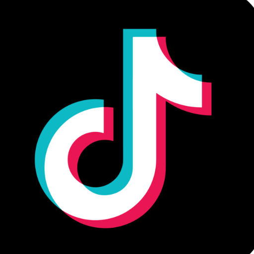 TikTok Story Viewer