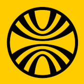 Jungle Job Scraper 🌴