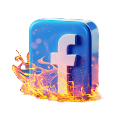 Facebook Pages Posts PPR