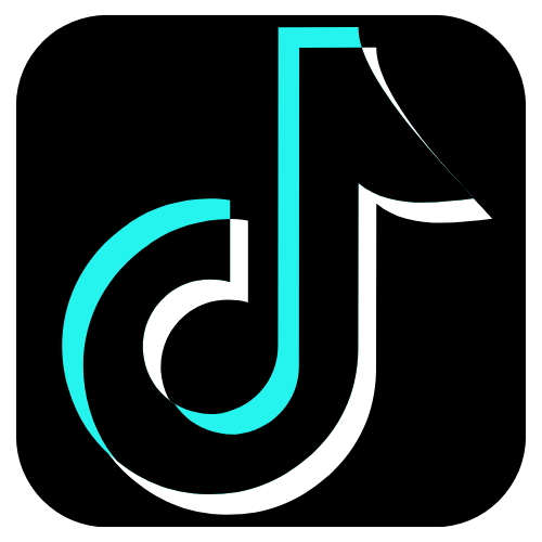 🎬 TikTok Video & Audio (MP3) Downloader 🚀