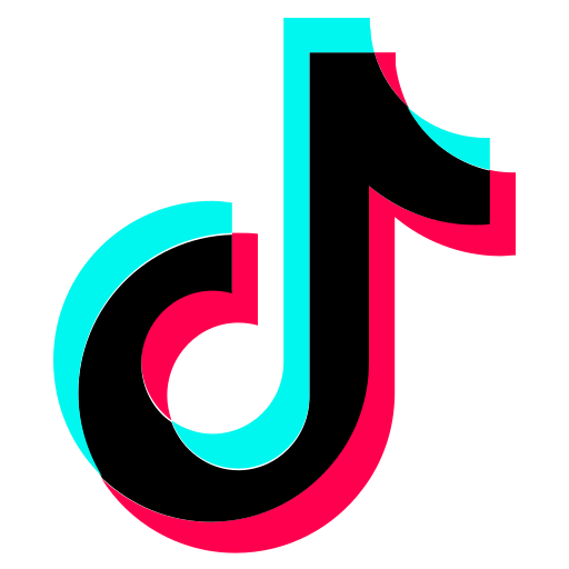 TikTok Profile Scraper